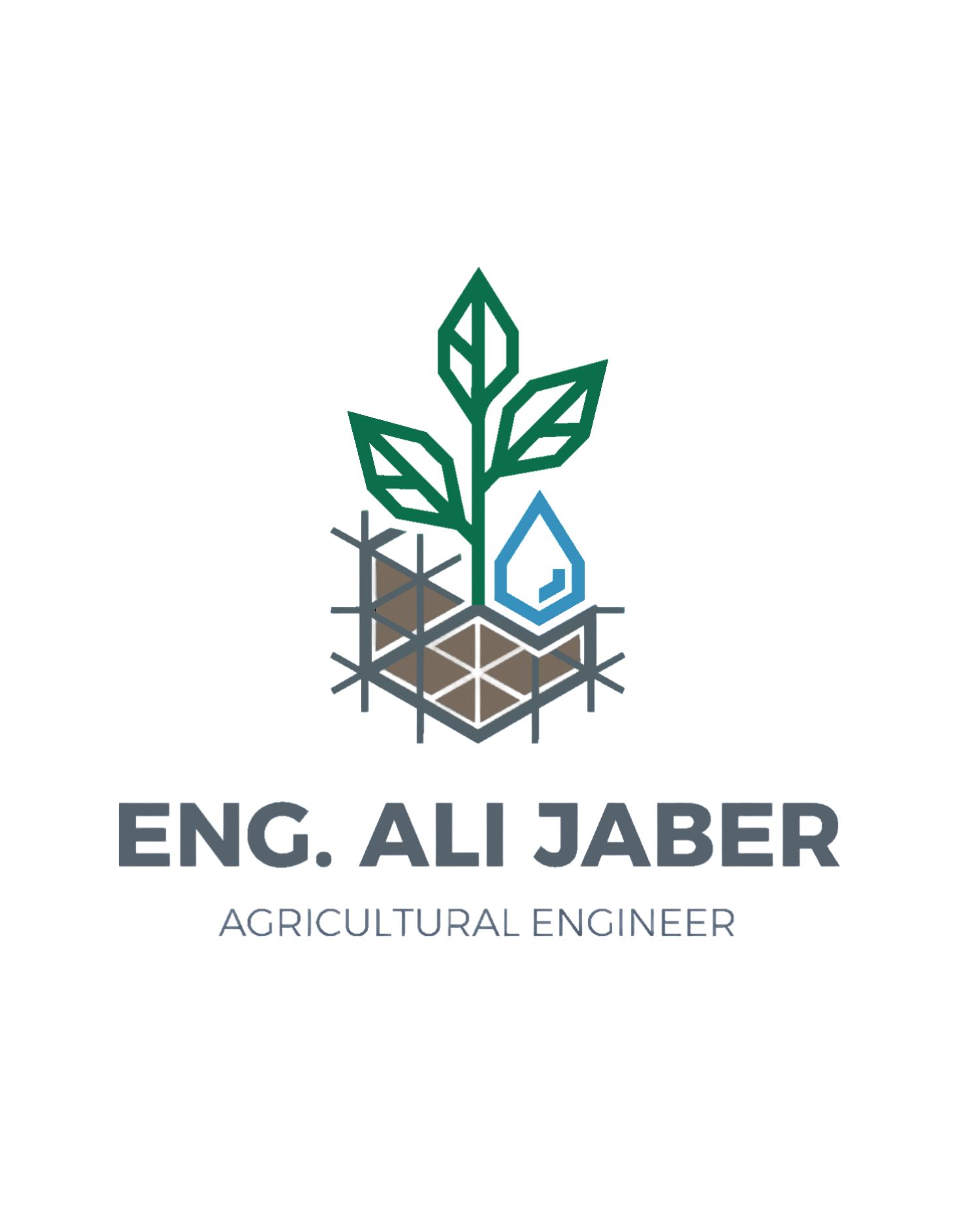 Eng.Ali Jaber